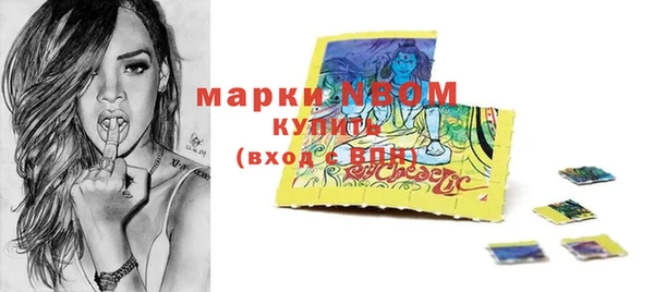 ECSTASY Бородино