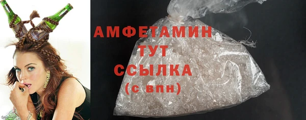 ECSTASY Бородино