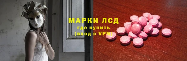 ECSTASY Бородино