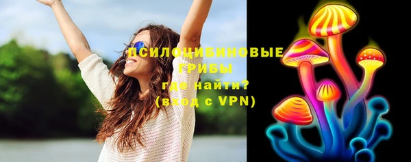 PSILOCYBIN Бугульма