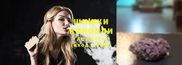 ECSTASY Бородино