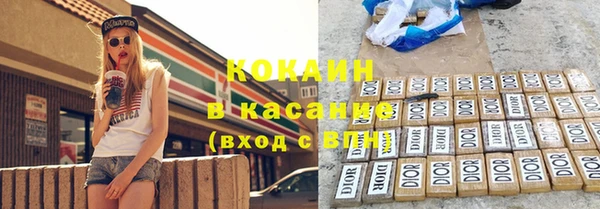 ECSTASY Бородино