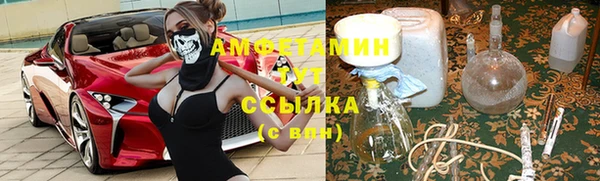 ECSTASY Бородино