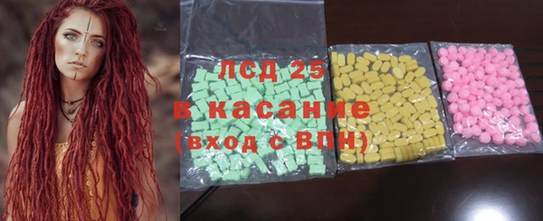 ECSTASY Бородино