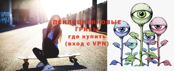 PSILOCYBIN Бугульма