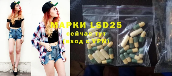 PSILOCYBIN Бугульма