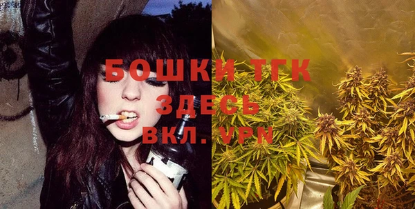 PSILOCYBIN Бугульма