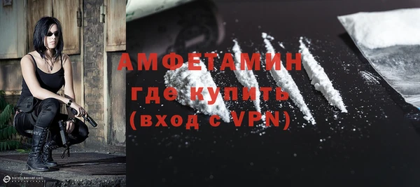 ECSTASY Бородино